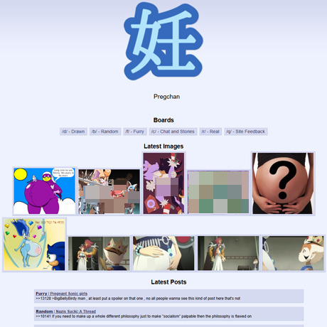 PregChan 2026最新评测