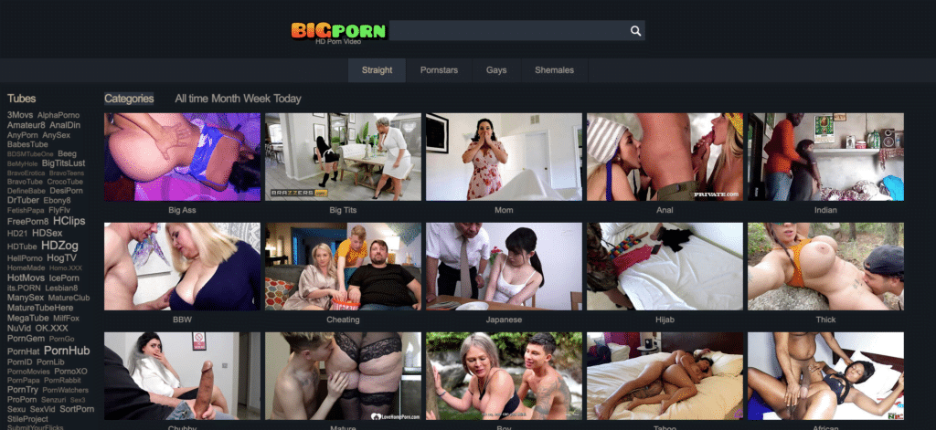 Bigporn 2026最新评测
