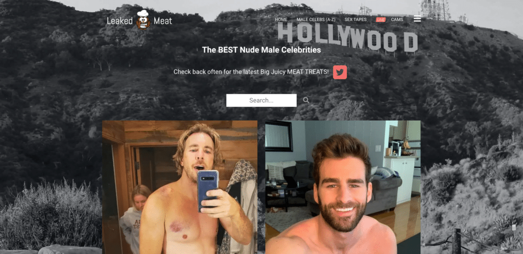 LeakedMeat 2026最新评测