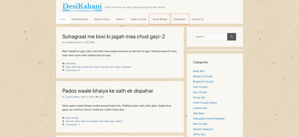DesiKahani 2026最新评测